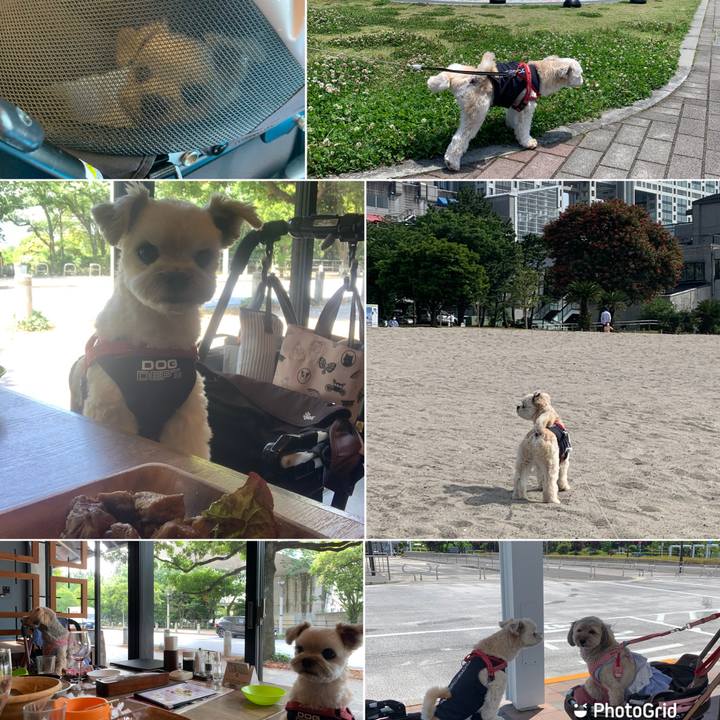 Cd8da77b 0073 48a9 a555 a7c01c1b34a0 1655121675619