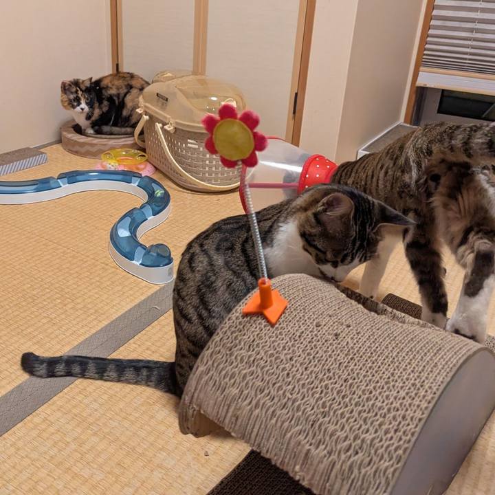 Cd8db9d6 4ba6 47b1 8ab6 dfaec4d4e384 1744865860319