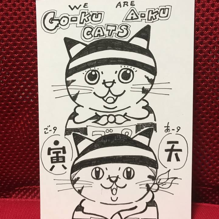 Cd8dc245 c474 4d72 aa23 09c60e5a2f0a 1542806839197