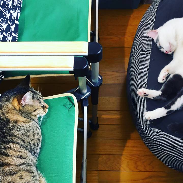 Cd8dd9b6 cda7 4436 a185 5a90ec1eee01 1559478365314