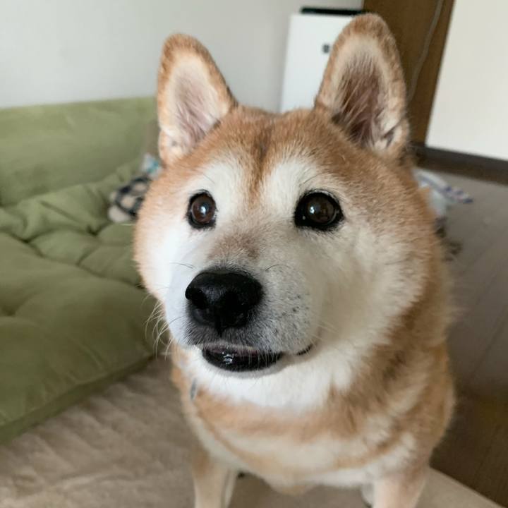 Cd8deab5 d29e 4a93 b43f 0f15a2f7786a 1564874693630