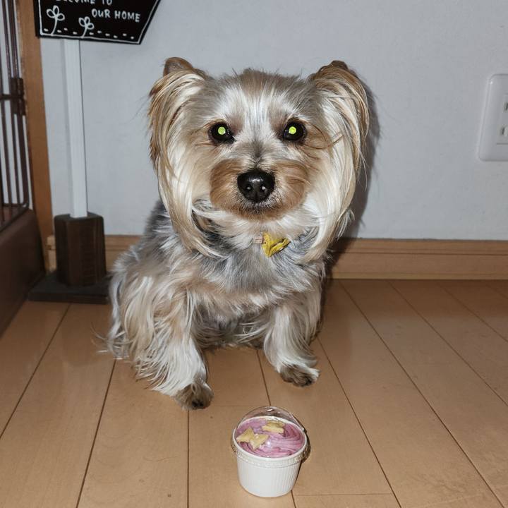 Cd8def1b d767 4e8c b51f 3b97b95d03a0 1735267486231