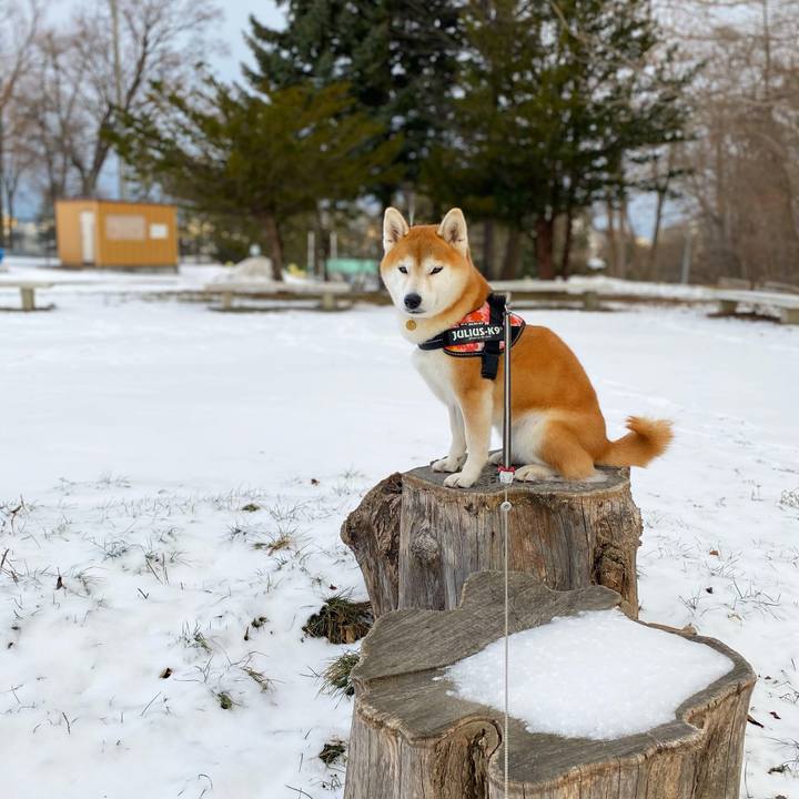 Cd8e2402 d78e 4cfe bea6 0cf78644af60 1608251646853