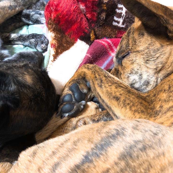 Cd8e4772 2380 48d7 b830 a0a74a546038 1583502598129