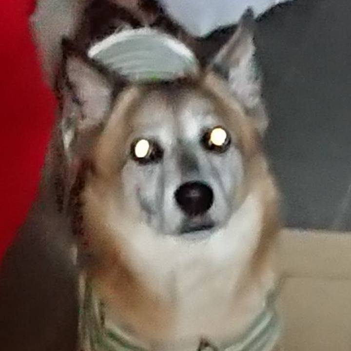 Cd8e8288 b5ba 45bf 8cd7 fd238e8be619 1604234930404