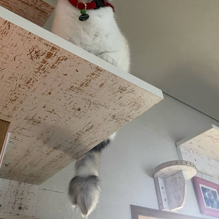 Cd8ea0b6 5c9b 481b 9197 d36dc4fb423d 1723456116000