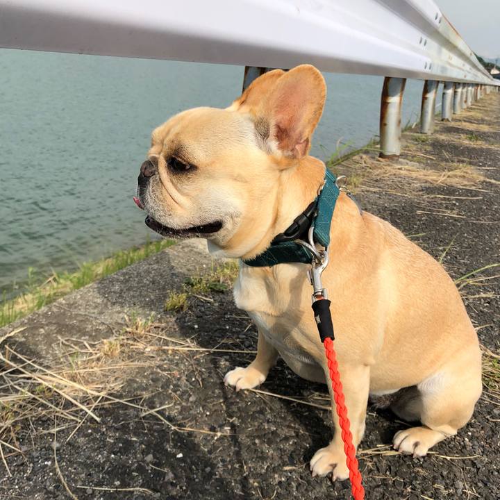 Cd8eab75 aaf1 4135 be6a 8376f46467b2 1559203581786