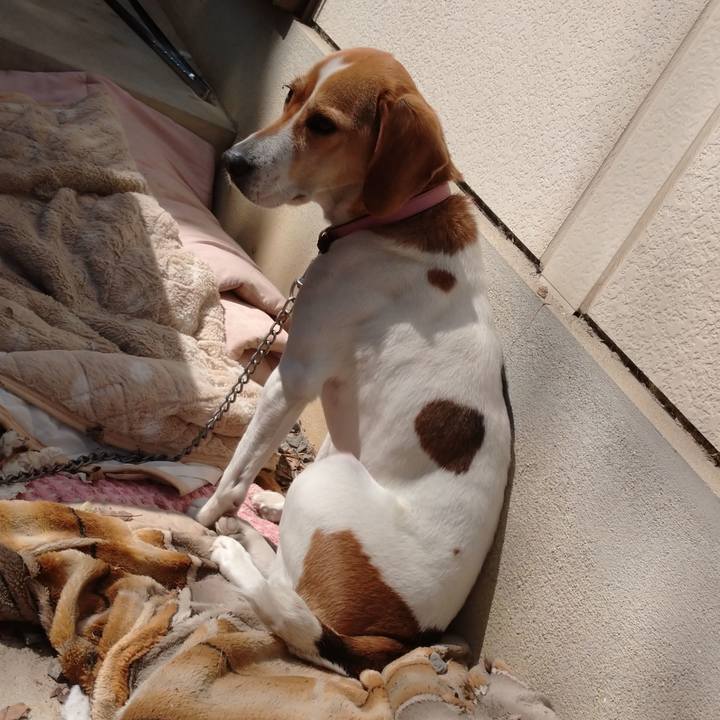 Cd8ec396 66f6 4157 8923 49470625d989 1583551421250