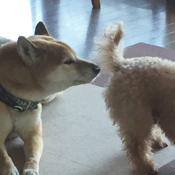 Cd8ecf3e 5366 4fe0 b8c2 82131f8318c0 1516080645248