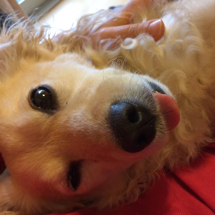 Cd8f4b31 1f41 4290 8a71 c05b235170d9 1509059230291