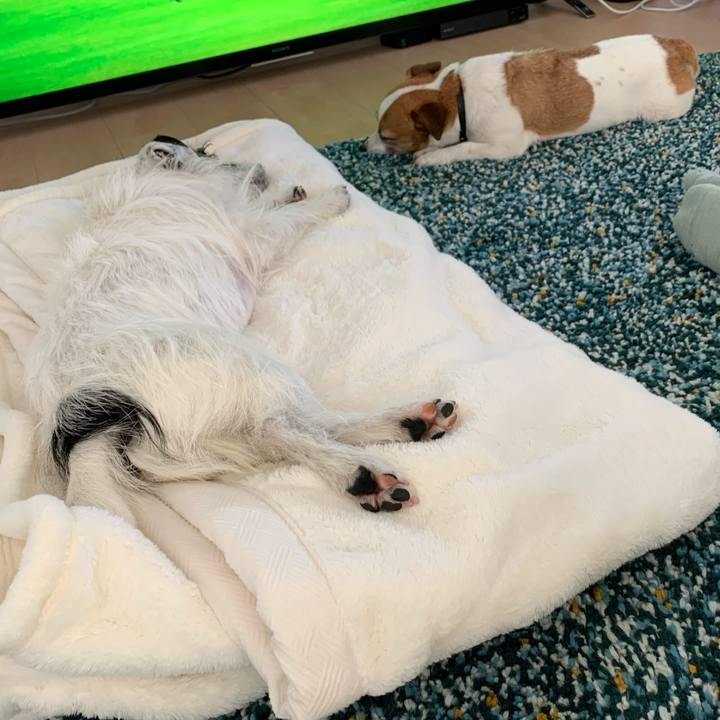 Cd8f8433 4eb1 4ece a57a d1f399fdbf43 1584596087389