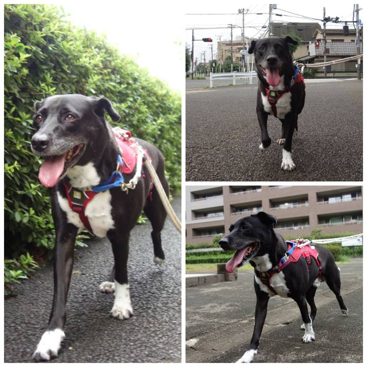 Cd8f9d13 539a 4fcd ae73 8ba0e4b2f895 1661038882411