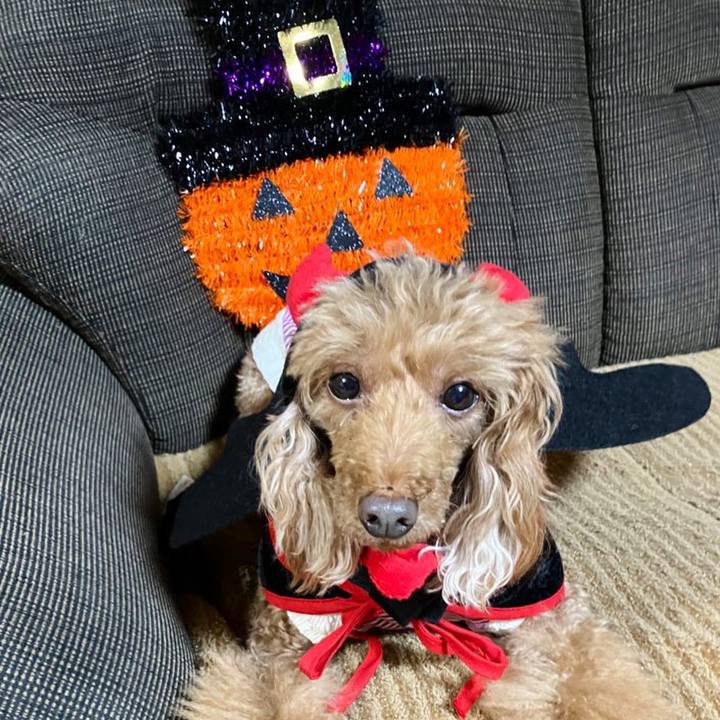 Cd8fb643 4316 44a4 b497 942e1bf0d7e6 1667208562153