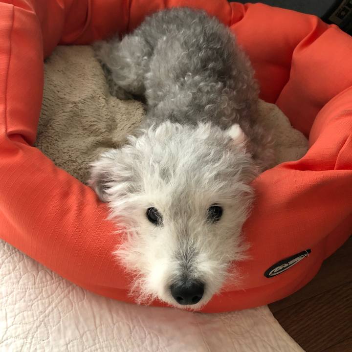 Cd8ff96d 8ac0 40fe ba6a 37f46ef8981e 1595628473905