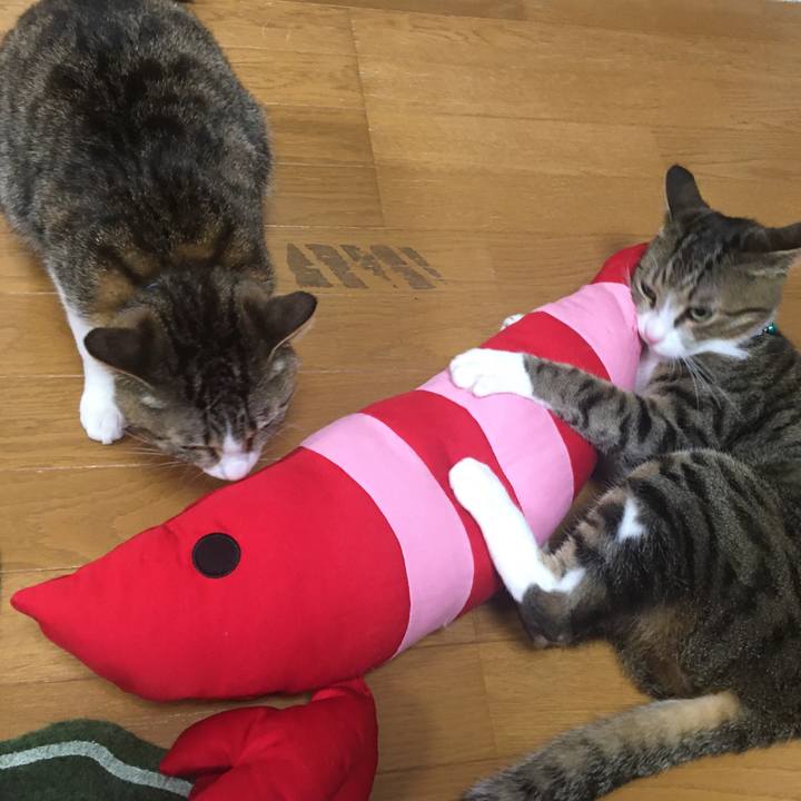 Cd900f9b 2f57 4171 bfe3 37872833d826 1690099065078