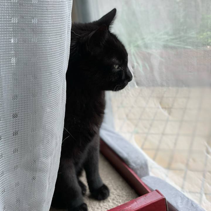 Cd901724 f5ad 44a0 97a2 475a4bb95ce1 1653521575342