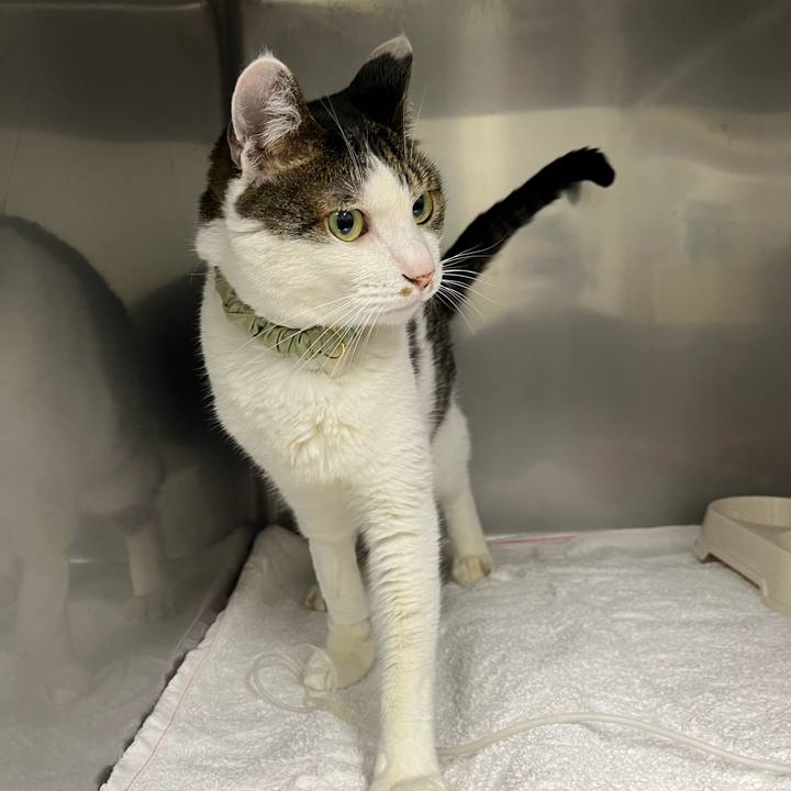 Cd9019c7 f2f7 4912 b98e 9fbe8f7f45df 1764499905014