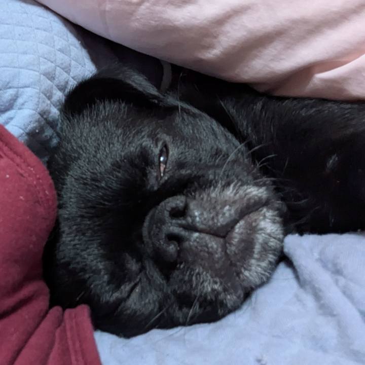 Cd901a64 51ff 4cd5 ac06 d1ede9e1ebc8 1770908501644