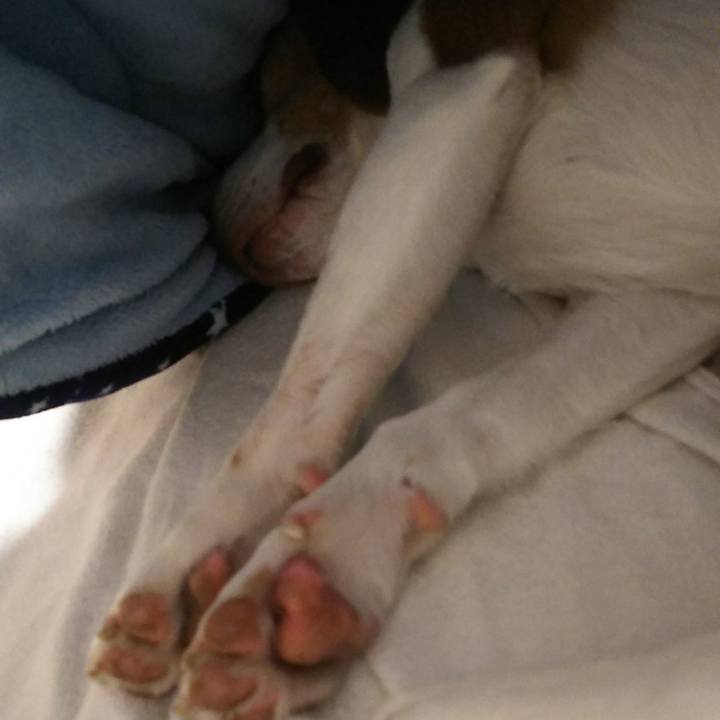 Cd9026a1 356c 4d94 b873 61603cbbac06 1613572969711