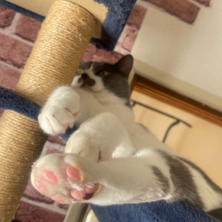 Cd90282c 682e 4ad5 b904 5e9e3fdd5cfc 1729752479599