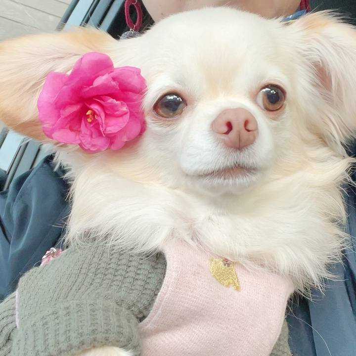 Cd9053eb 8dd8 463b 85cb 2d576f76da68 1701679051009