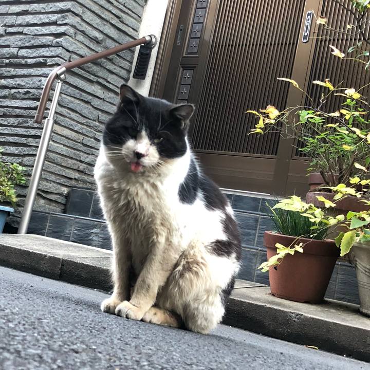 Cd9057ec 97f1 4af3 998a e493f250b236 1580738724535