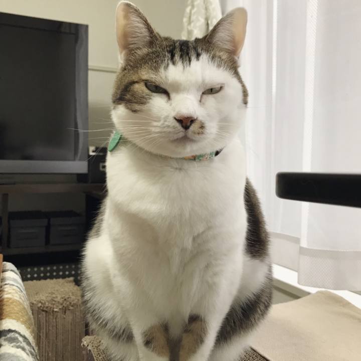 Cd906b21 b2a0 4695 9808 48581fdf1129 1548558982348