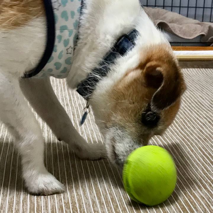 Cd907695 906b 4316 8f10 5b63a8e0c91e 1600148423037