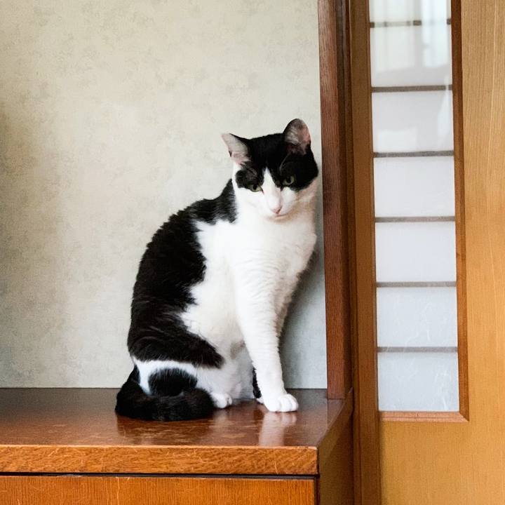 Cd90d40b 8673 43de a1d2 8f98902401cd 1567652778002