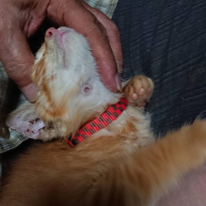 Cd90ddad 24bb 481d 9832 427bce70616f 1627990852521