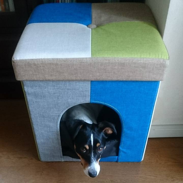 Cd917c7f baf8 4d5d ac07 d552f9b3b578 1558231908243