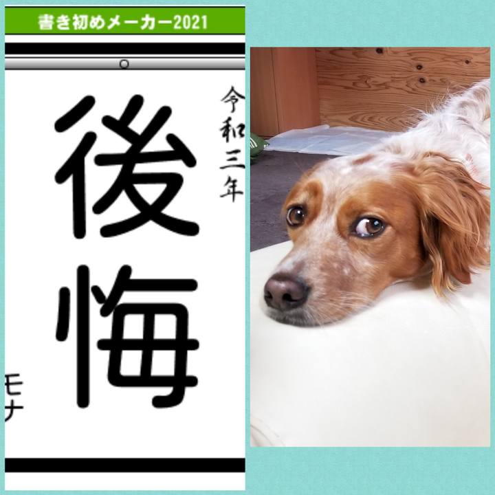 Cd919358 93a7 4fac 8989 fd5556589a84 1609891016569