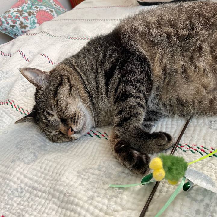 Cd91ad20 f26e 4aa8 891d 68c7db59e3d8 1751528901116