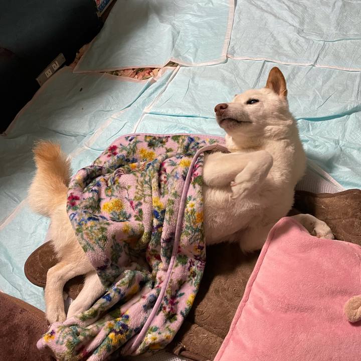 Cd91b5ac 97be 42c8 92eb 28a75a3c063a 1638017015113