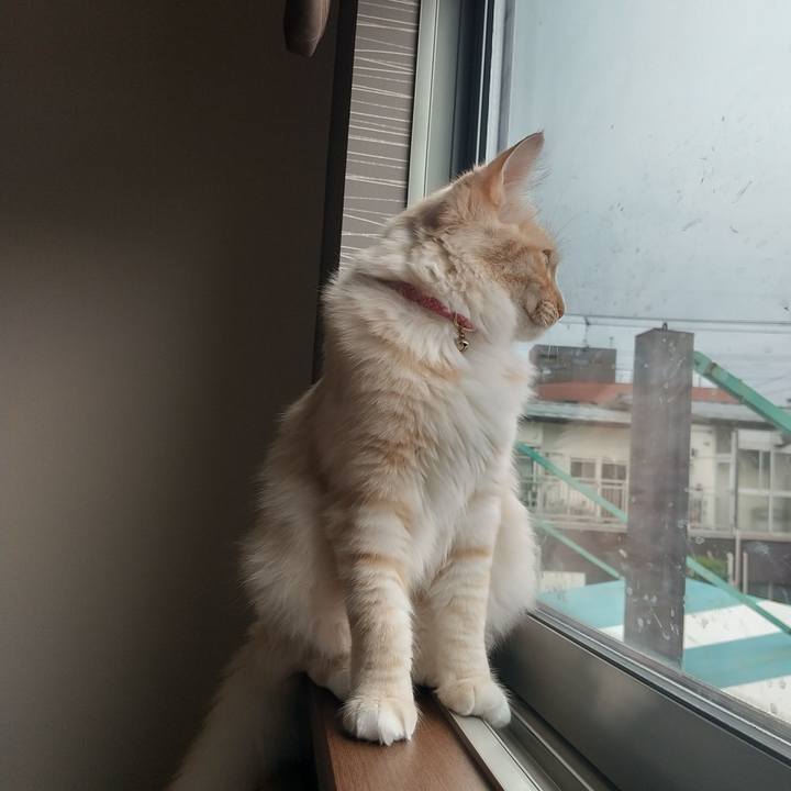 Cd920e4e 6aac 45f6 a44e 1bf5a874cf36 1619304005603