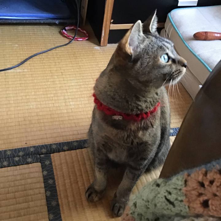 Cd9243ca 9614 4add abb3 637f2f21ac9d 1614046901026