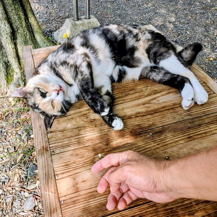 Cd9254c4 265a 4b78 8173 b754cbef52d8 1758074067696