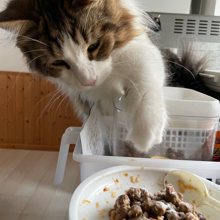 Cd926661 2a12 4cfb b5f3 118d3b1fc39a 1656197221911