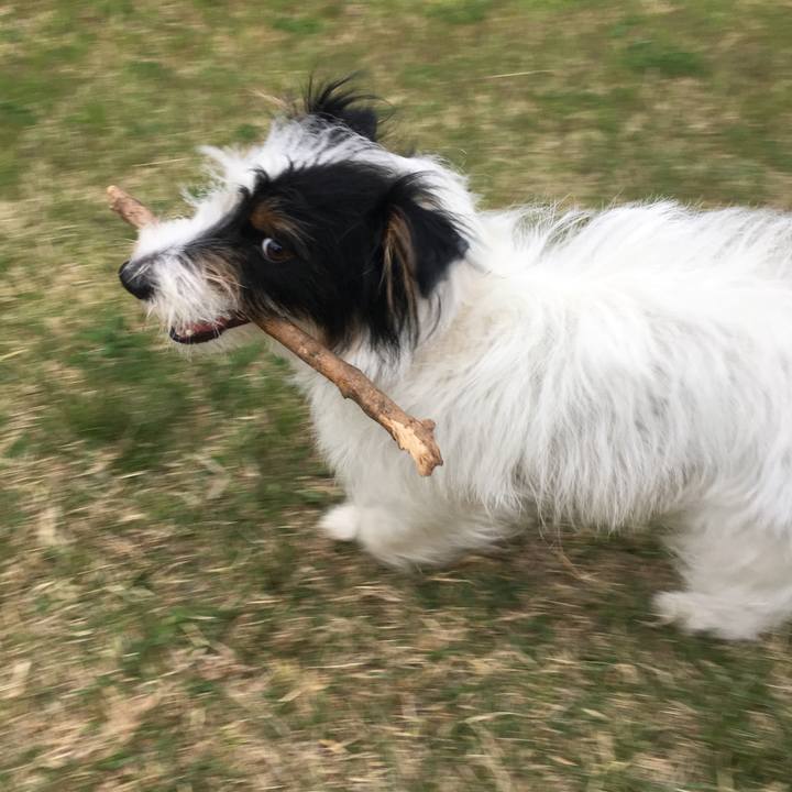 Cd9277fa 0ab3 4632 b06a cf7534c4cbca 1524090215940