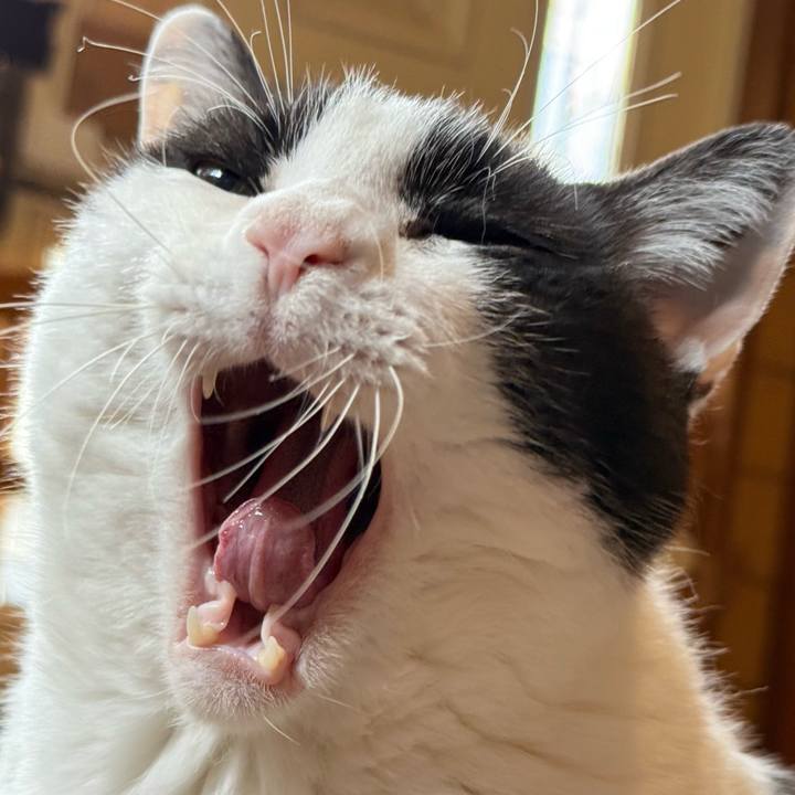 Cd92aae0 bb5c 4f6d a1f9 afcbbe264ea0 1749866600367