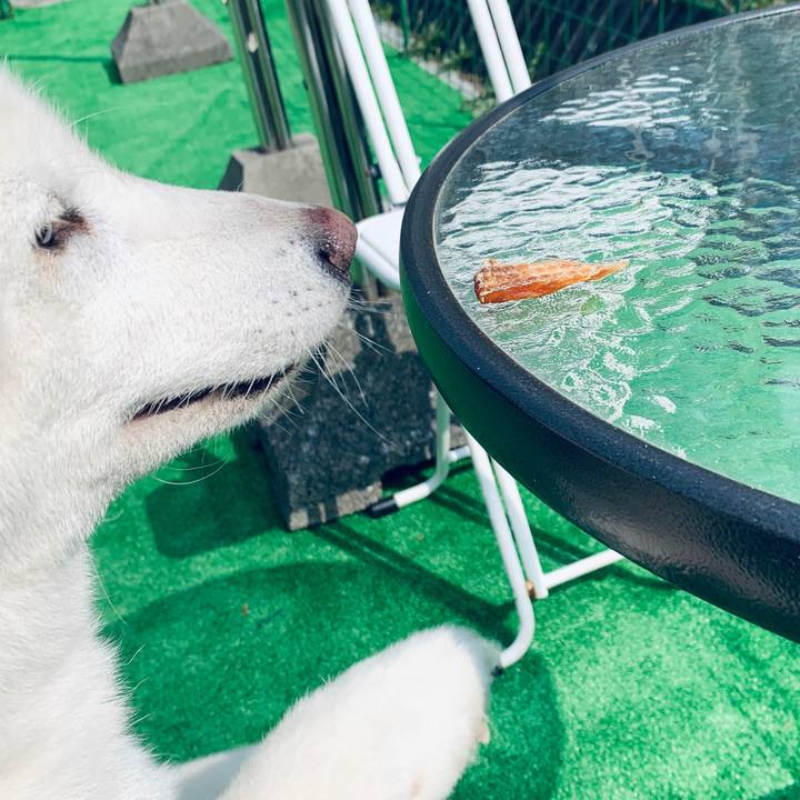 Cd92c34d 2f83 48d4 a59b 14fb2083b402 1588485301386