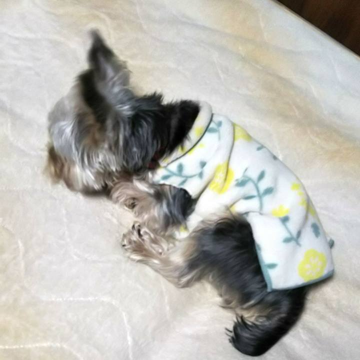 Cd92e11f 36c8 4e33 9bff 26affa015fee 1544538587338