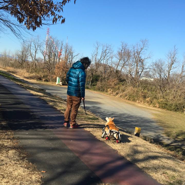 Cd92f039 444b 422a 99ac 0399d2f1efc8 1546747372598