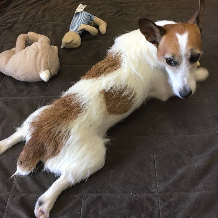 Cd92fb85 42a2 4150 a38f 265a8d40bf94 1560813741928