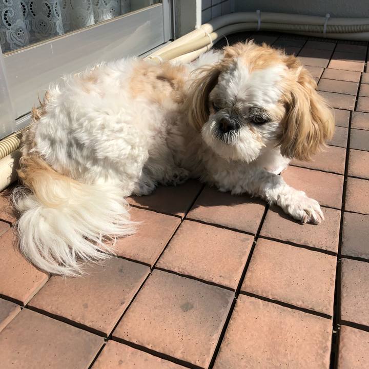 Cd92fdc0 6e0e 4176 8e64 e168adff6e7a 1553205522550