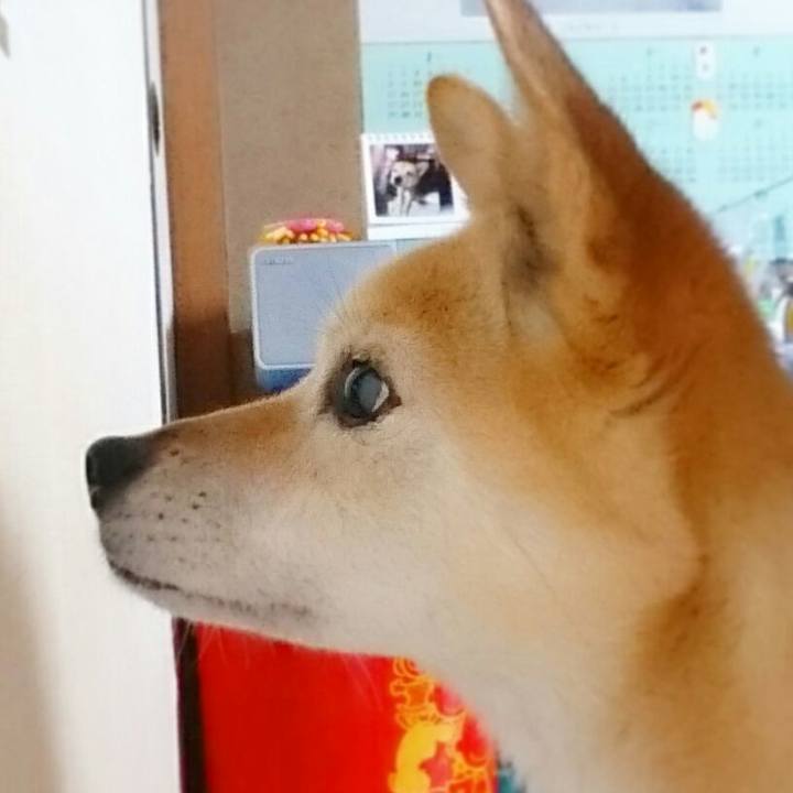 Cd92ff02 c417 4064 bf64 61b693a71543 1513861450649