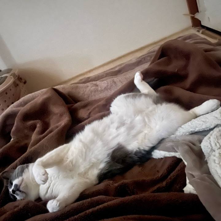 Cd933544 1268 4d02 8d9b b1c67f08643b 1714431354214