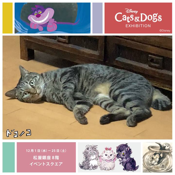 Cd9339dd 8f52 447e 9993 037517b14716 1638348807031