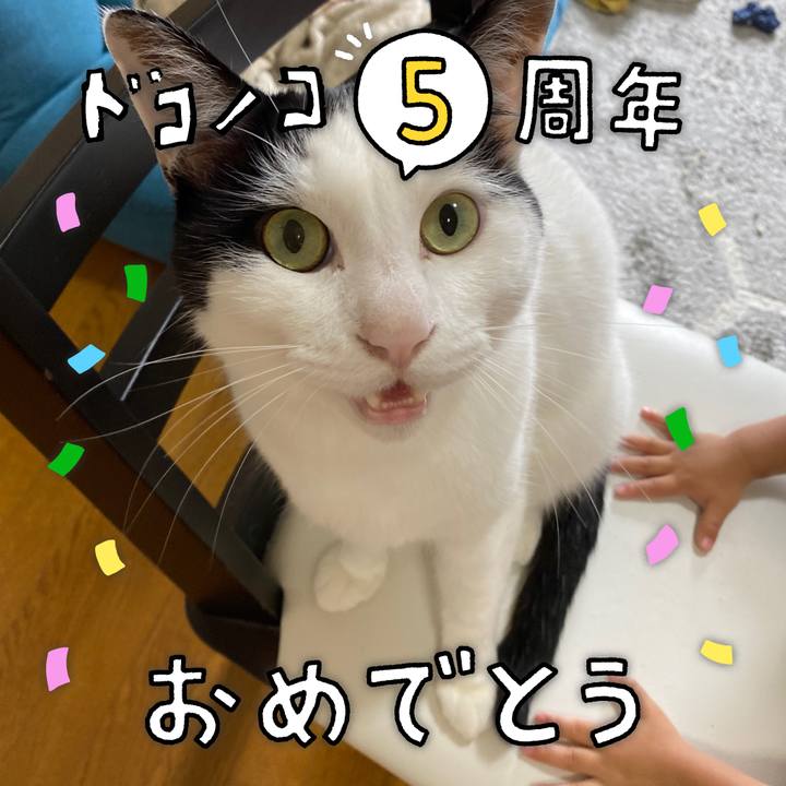 Cd938ceb 54f1 4a9e 8d21 5791652a10f2 1622940009884