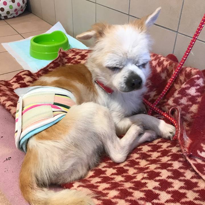 Cd938f51 8f57 442c b0a4 d1fcabd79058 1513053542516